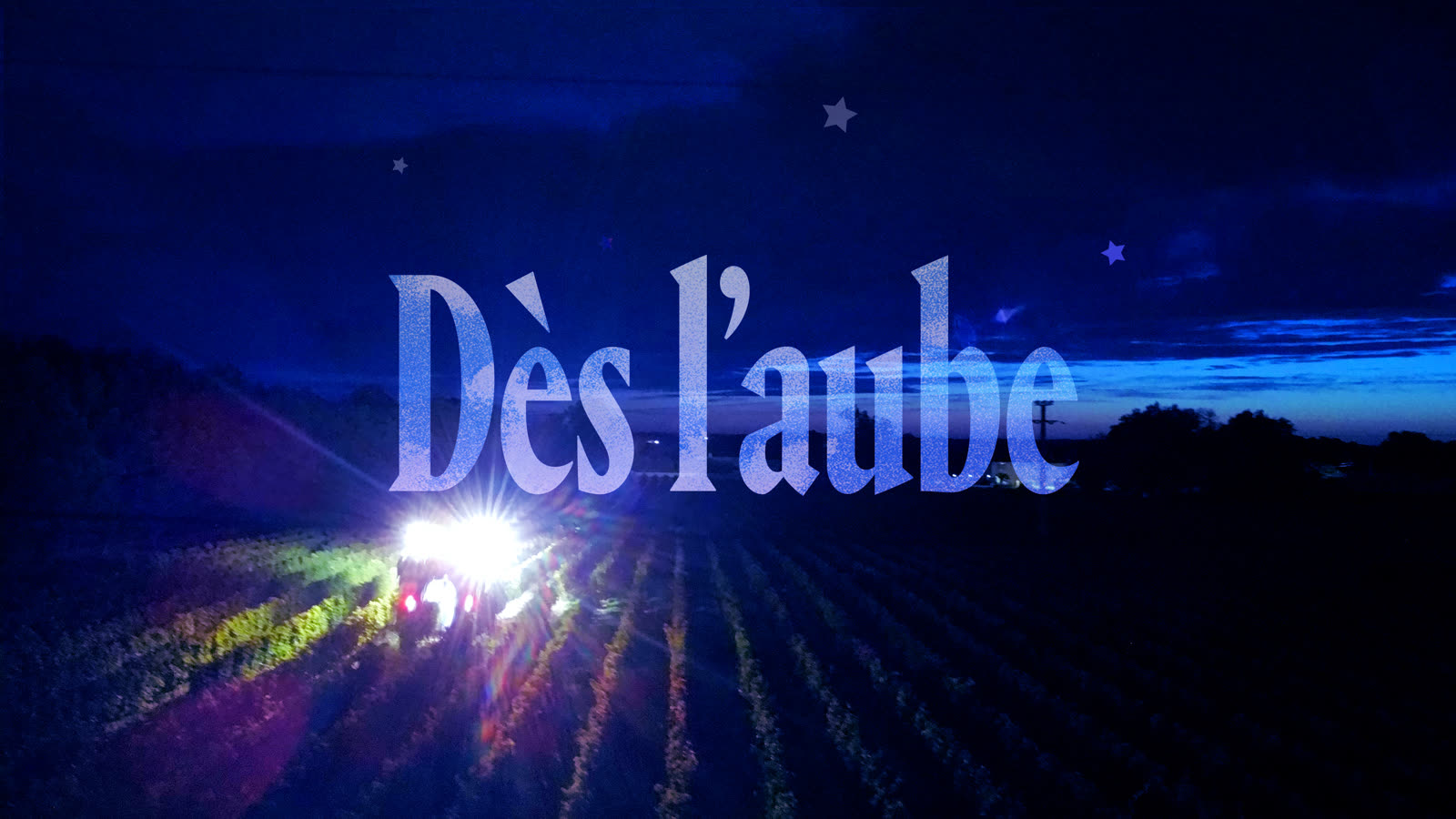 Nuit de vendange — Dès l'aube